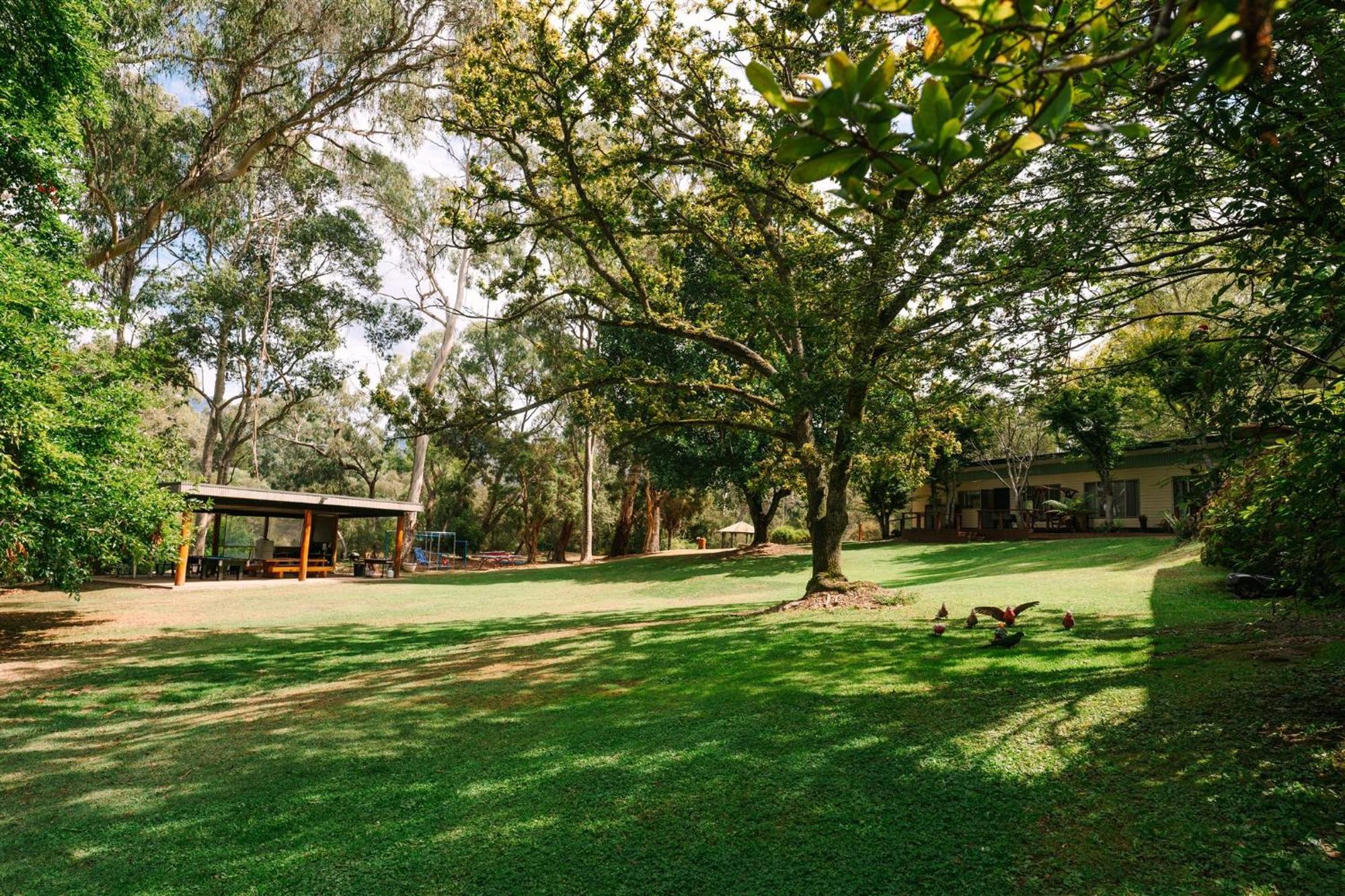 Alpine Riverside Cottages Porepunkah Ngoại thất bức ảnh